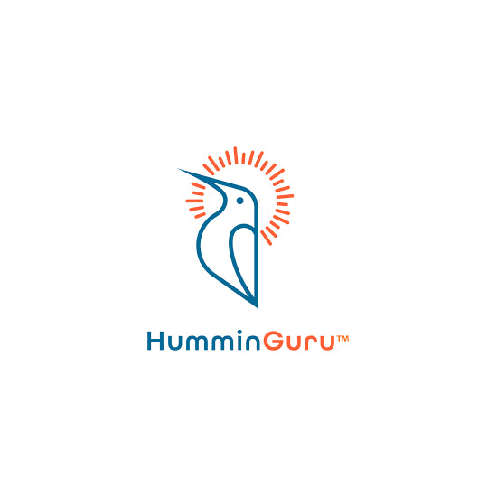 HumminGuru – Groove Audio