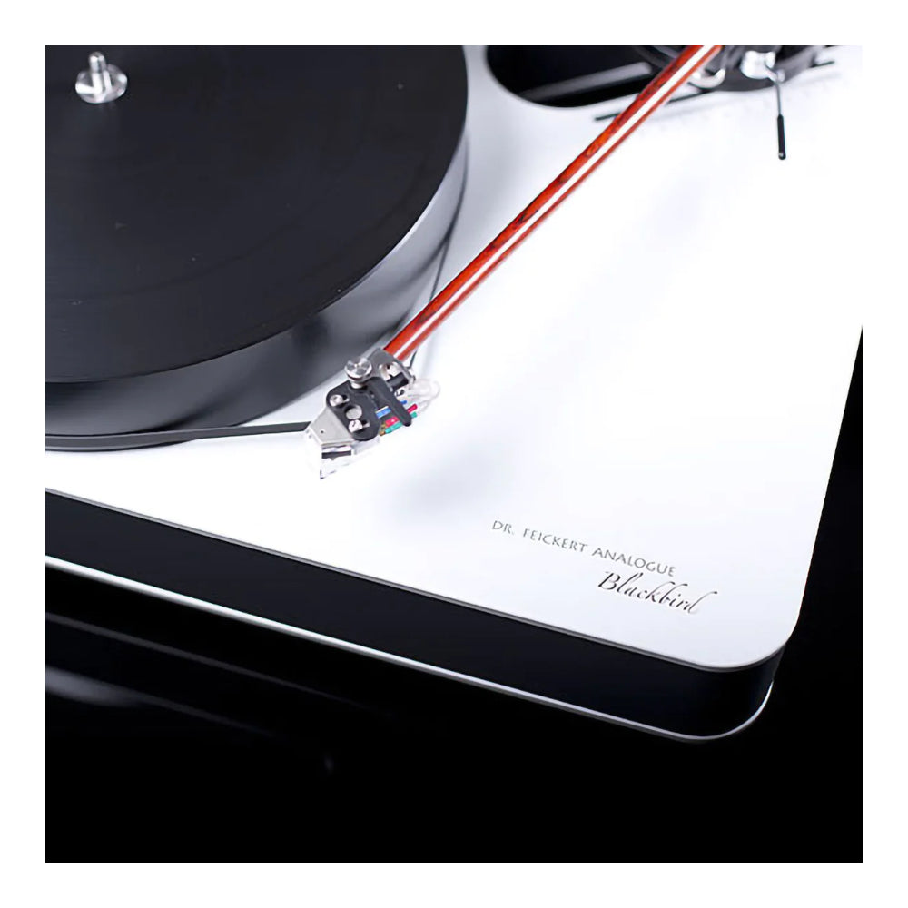 Dr. Feickert Blackbird Turntable (Dual Motors Drive)