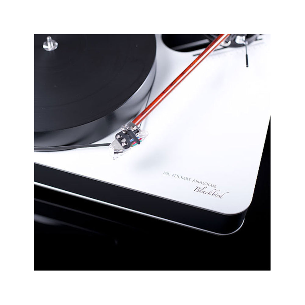 Dr. Feickert Blackbird Turntable (Dual Motors Drive)