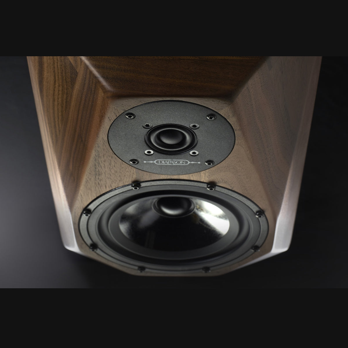 Diapason Adamantes V High-End Bookshelf Speakers 1 Pair (Handmade in Italy)