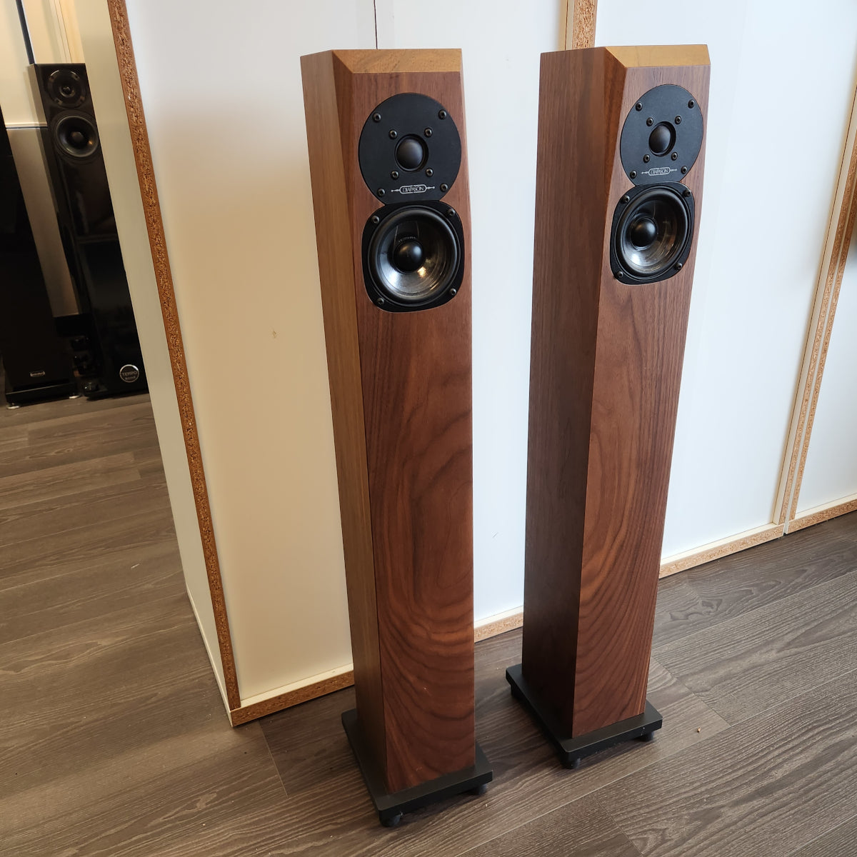Diapason Ares Excel Ultra-Slim Floor Standing Speakers 1 Pair (Ex-Demo)