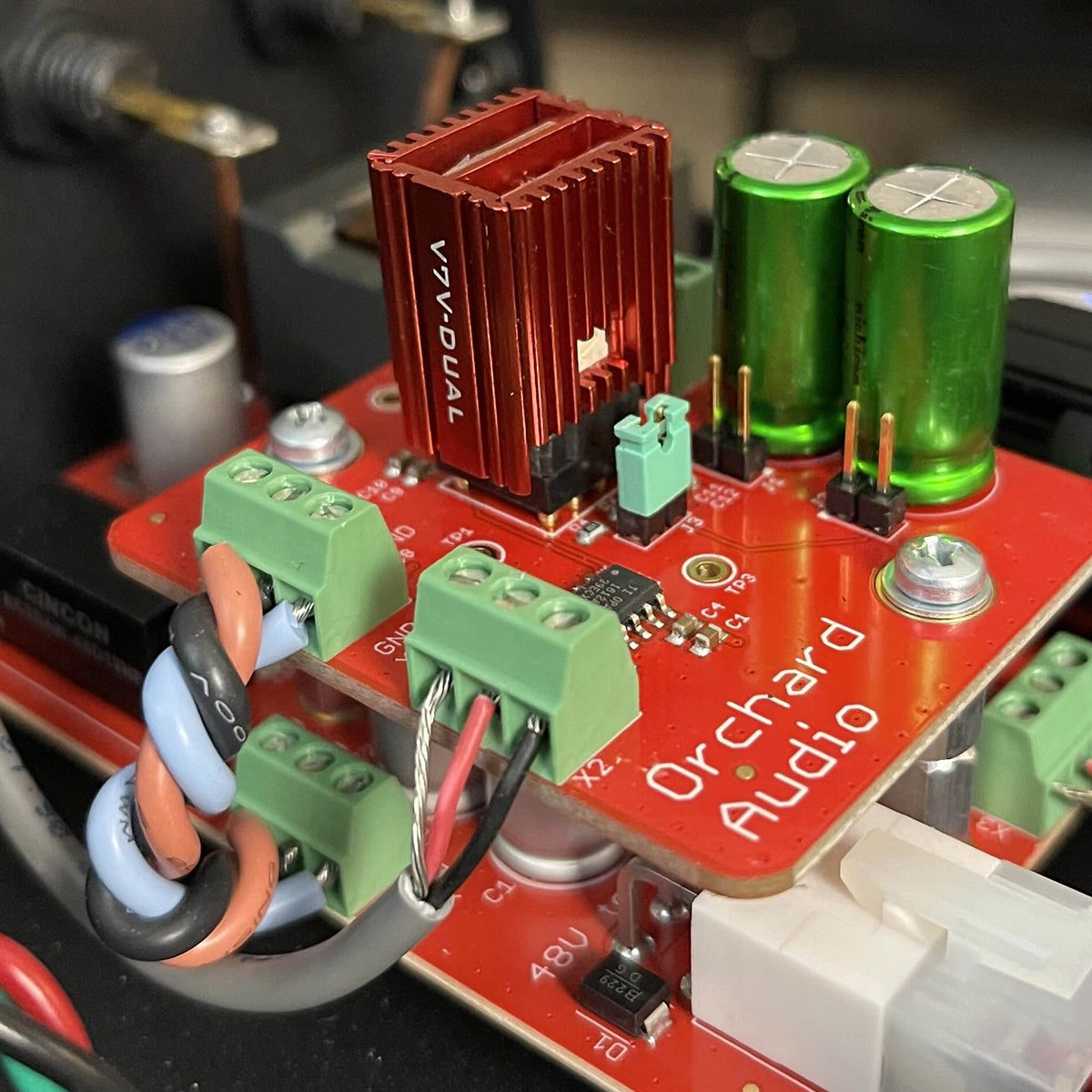 Orchard Audio Starkrimson 25 Mono Premium GaNM Technology (1 Pair)