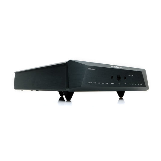 Musician Pegasus DAC R2R MKI