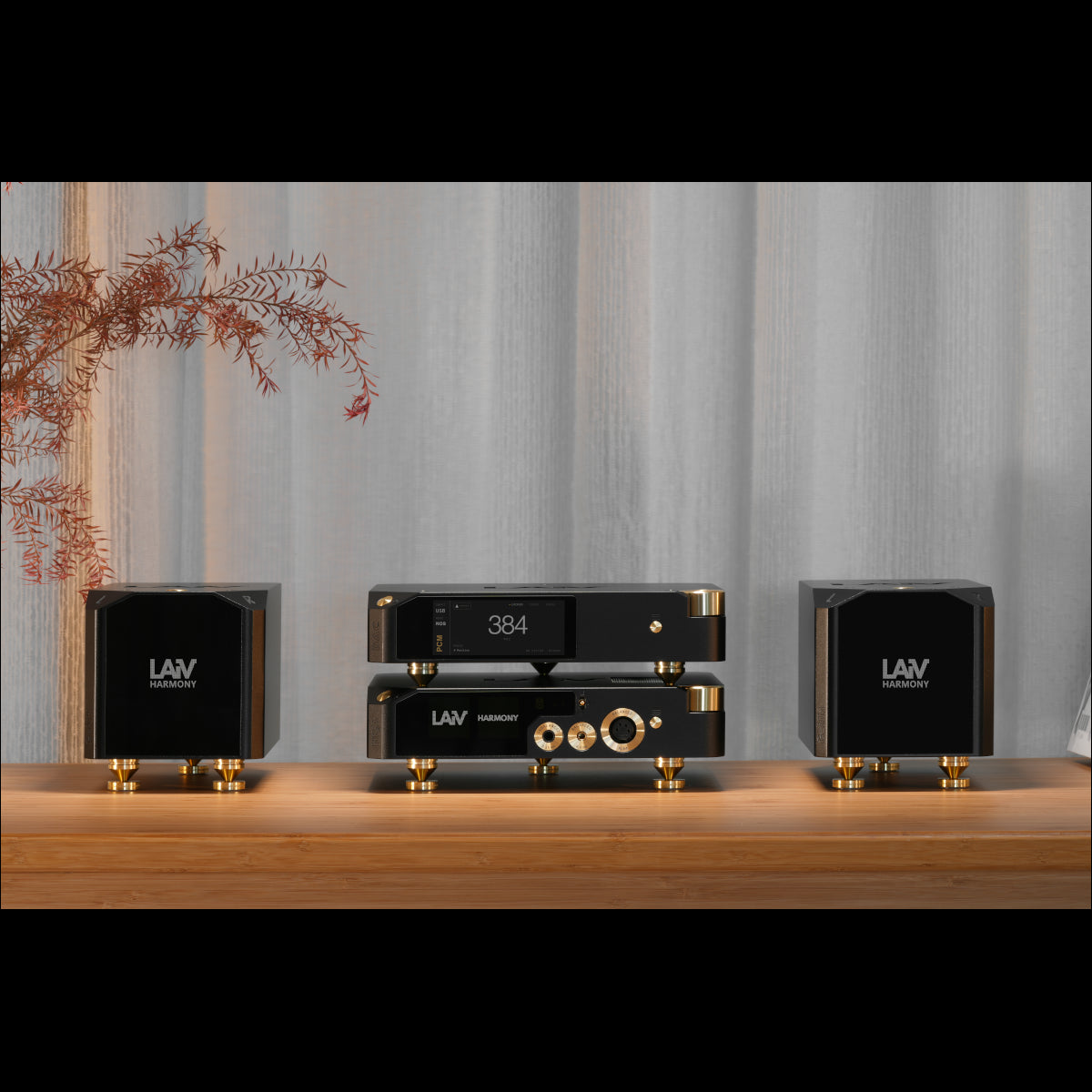 LAiV Harmony DAC 2 Discrete R2R Ladder DAC (pre-order)