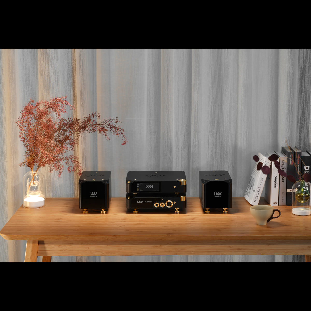 LAiV Harmony DAC 2 Discrete R2R Ladder DAC (pre-order)