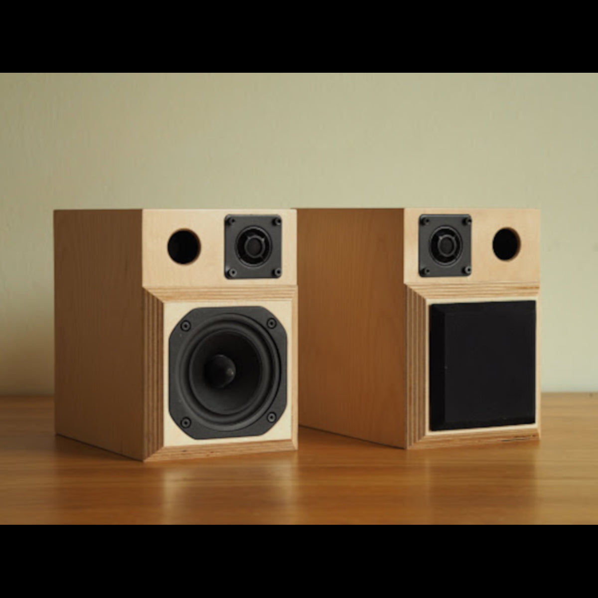 Atoll Electronique IN50 Signature and Microphase Audio Design SAT MK3.3 Special promo Speaker and Amplifier