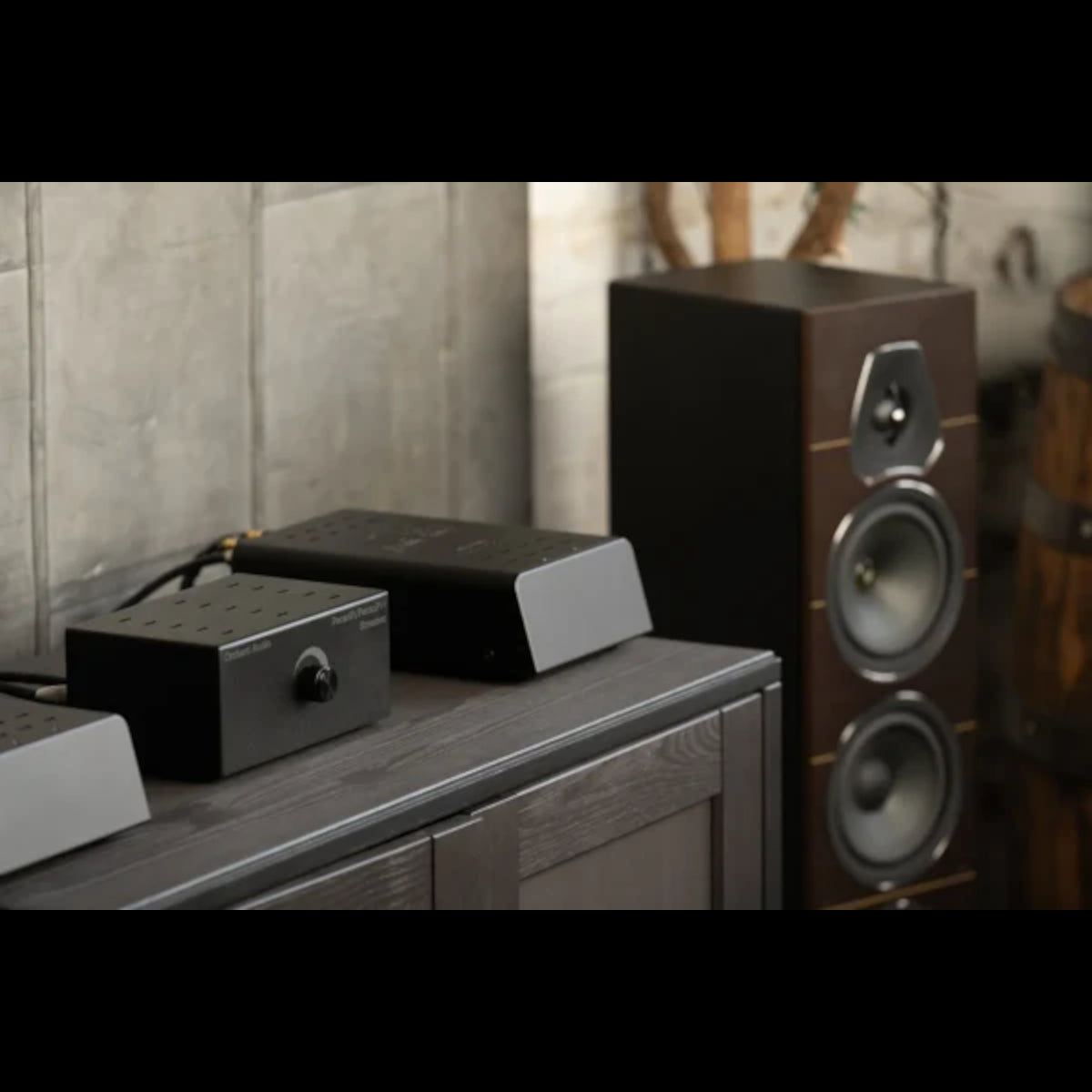 Orchard Audio Starkrimson 25 Mono Premium GaNM Technology (1 Pair)