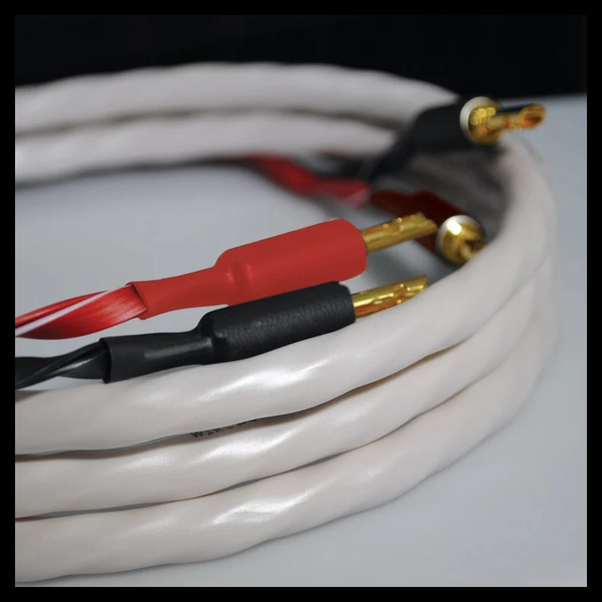 Wireworld Solstice 10 Speaker Cable 3m Banana Plugs