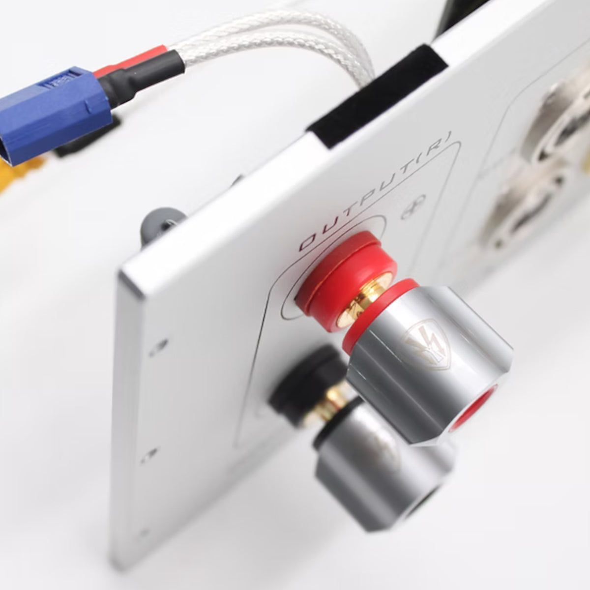 Vinshine x Kinki Dazzle Integrated Amplifier